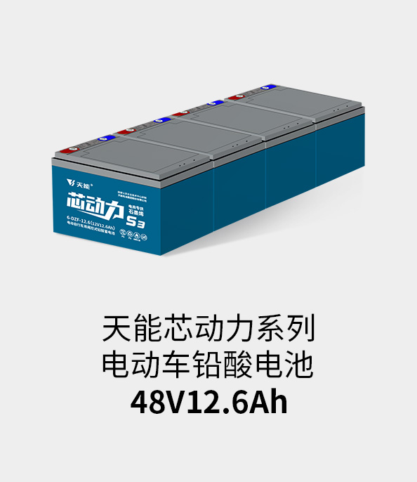 钱柜777电池48v12ah
