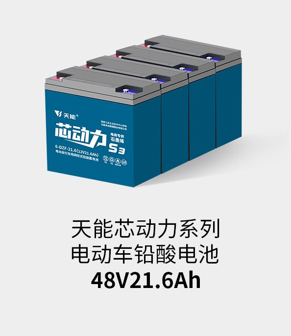 钱柜777电池48v20ah