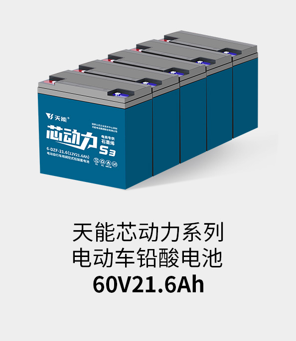钱柜777电池60v20ah