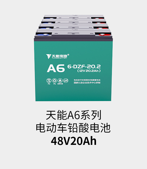 钱柜777电池48v20ah