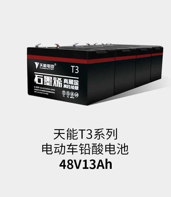 钱柜777T3系列48v13ah