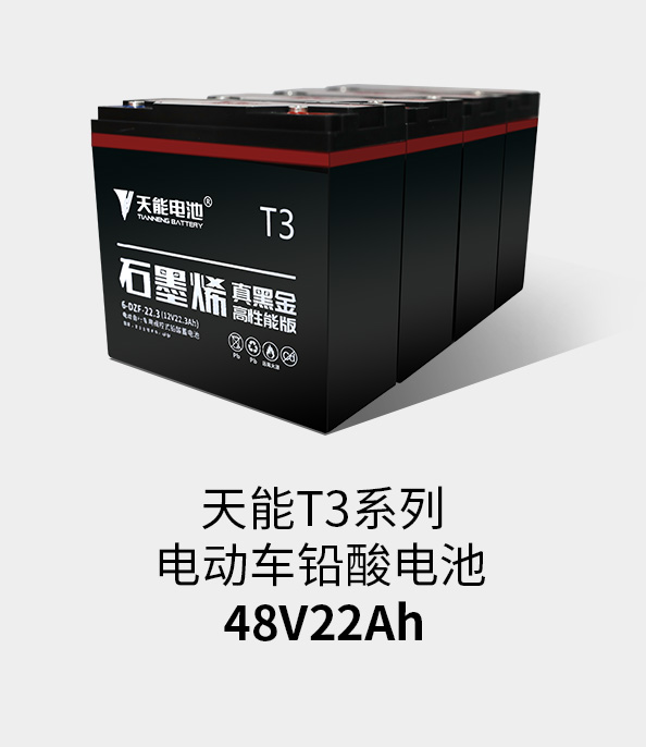 钱柜777T3系列48v22ah