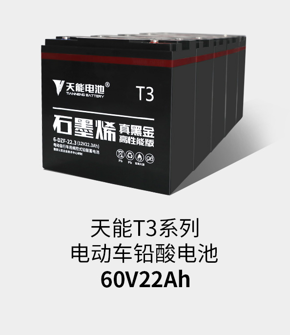 钱柜777T3系列60v22ah