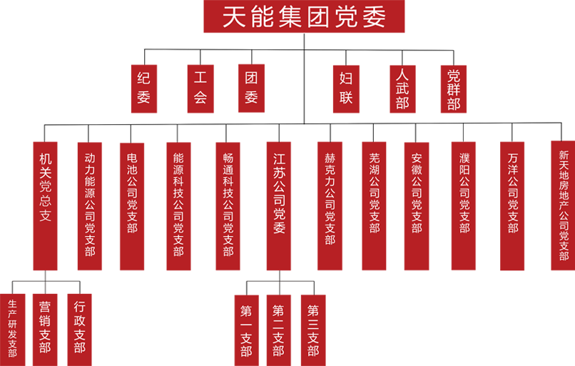 钱柜777建团党委组织架构